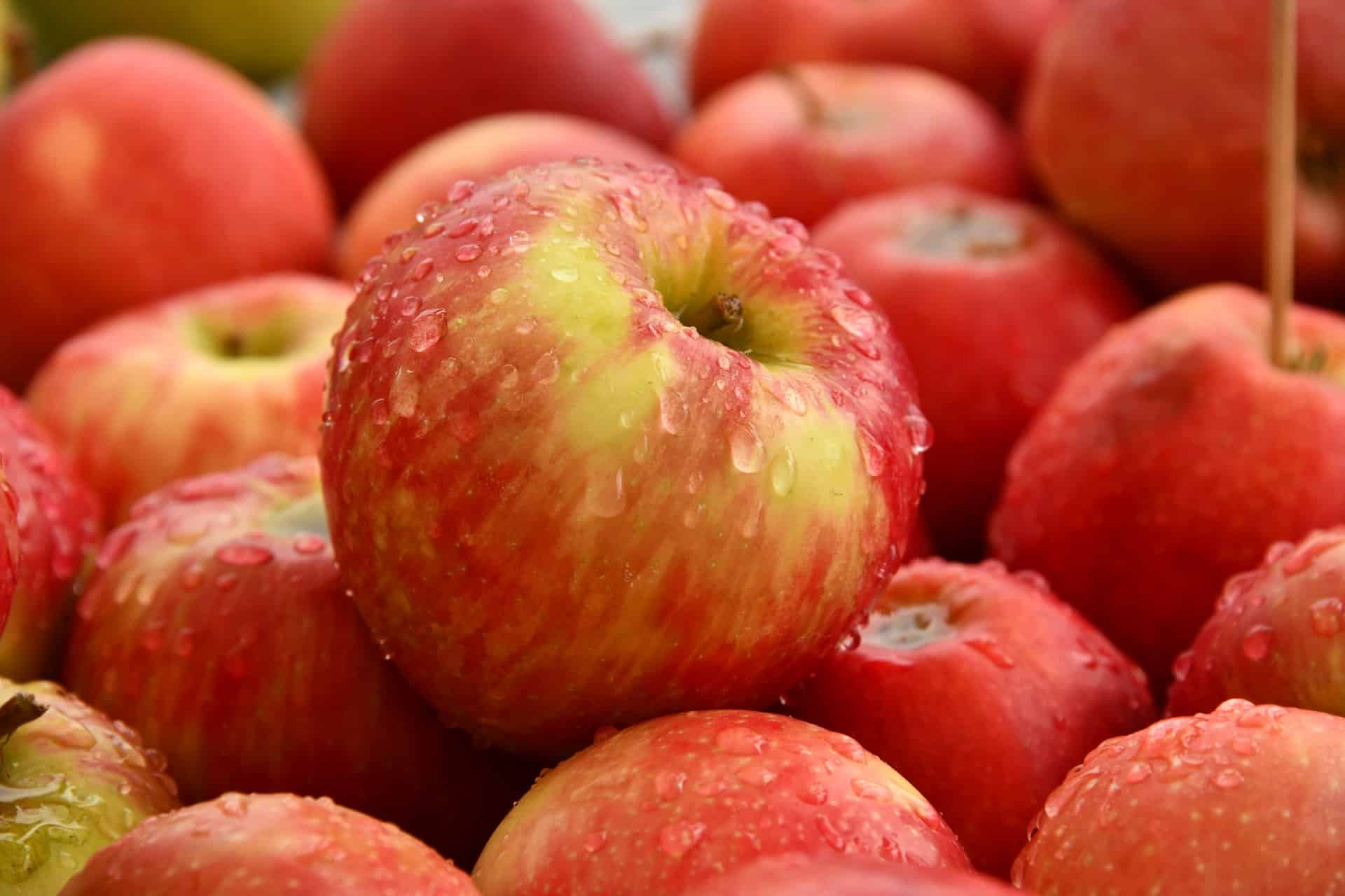 Najlepsze jesienne jabłka – odmiany i przechowywanie