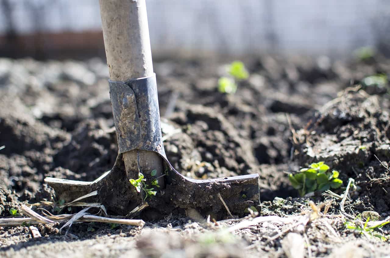 Przekopywanie ogródka – jak zrobić to prawidłowo?