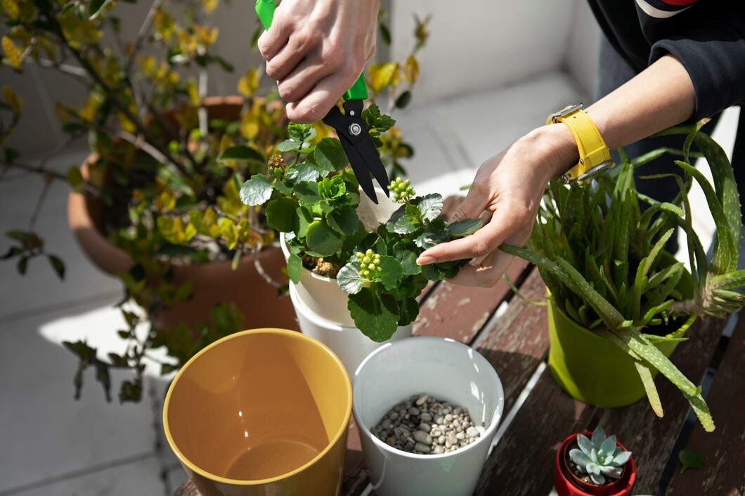 Jak wybrać idealne doniczki balkonowe dla twoich ziół i roślin – praktyczne porady