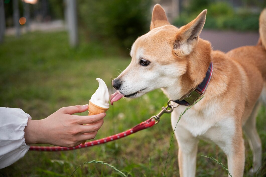 Jak wykorzystać naturalne smakołyki do efektywnego treningu psa?