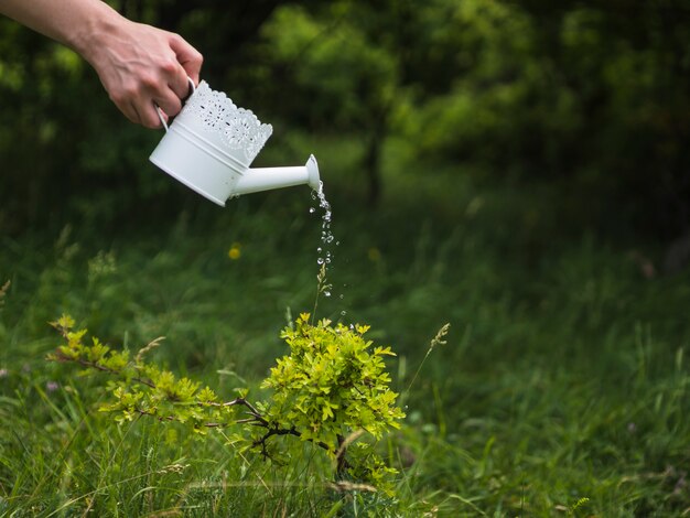 Jak wykorzystać zbiorniki na wodę deszczową w ogrodzie?