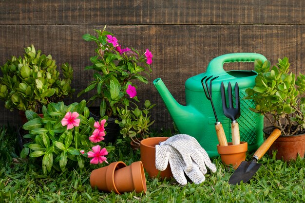 Jak wybrać najlepsze narzędzia do pielęgnacji ogrodu?