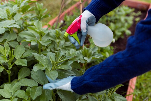 Naturalne metody ochrony roślin przed szkodnikami w ogrodzie